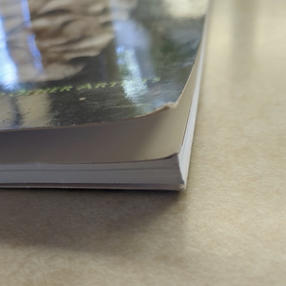 Wood carving book, whimsical, craft, carving - Picture 6 of 6